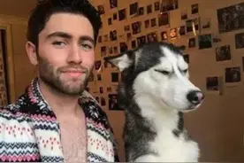 最适合新手养的8种狗，你最想养哪种？图片