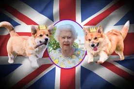 英王室又被曝猛料！女王多年嫌弃太子查尔斯：你真让朕失望图片