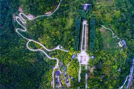 神农架深处，为何被列为禁区？有野人？还有一神秘现象至今无解图片