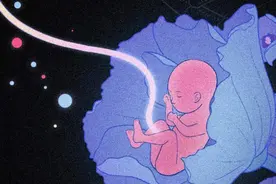 从受精卵到死亡，我们的身体究竟遭遇了什么？图片