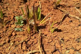 地理趣闻趣事：地火燃烧了60年，村民们在那里炖排骨、烧水、做饭图片