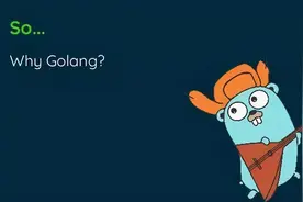 六星教育：Golang加入备受争议PHP，又会掀起什么波澜图片