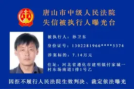 河北2市实名曝光！这19人将处处受限图片