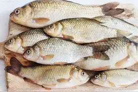 “失控”的鱼价：淡水鱼贵了5成，一条鲫鱼35，专家解释涨价原因图片