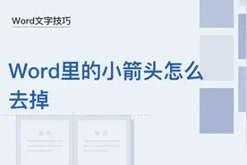 文字技巧—Word里的小箭头怎么去掉图片