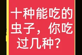 这些常见的虫子，其实都是美味佳肴，可惜很多人不敢吃图片
