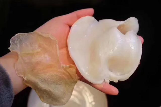 南美特大蝴蝶花胶 2026年蝴蝶花胶多少钱一斤 南美特大蝴蝶花胶 2026年蝴蝶花胶多少钱一斤