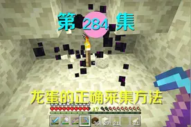 我的世界阿阳历险记284：终于知道龙蛋的采集办法，之前白费功夫
