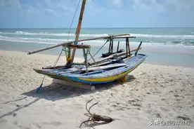 手里的基金，假期里也会有收益吗？图片