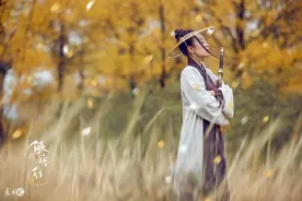 小说：人在家中坐，锅从天上来，最强背锅侠图片