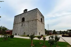 郑宗明｜|登望京楼有感图片