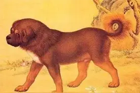 狗、狗肉、狂犬病与人类：权倾天下的吕后怎会死于狂犬病？图片