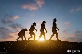 中国国企70年演变历程图片