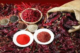 用这种辣椒做出来的蘸水，你敢下嘴吗？图片