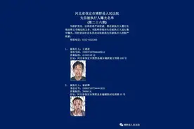 河北2市实名曝光！这40人将处处受限图片