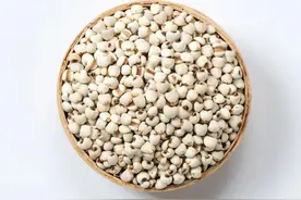 薏苡仁，祛湿佳品，但生用和炒用差别大，想祛湿的您，用对了吗？图片