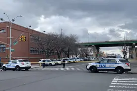 美国警察追捕逼停超速肇事车辆，发现驾驶座上竟是条狗图片