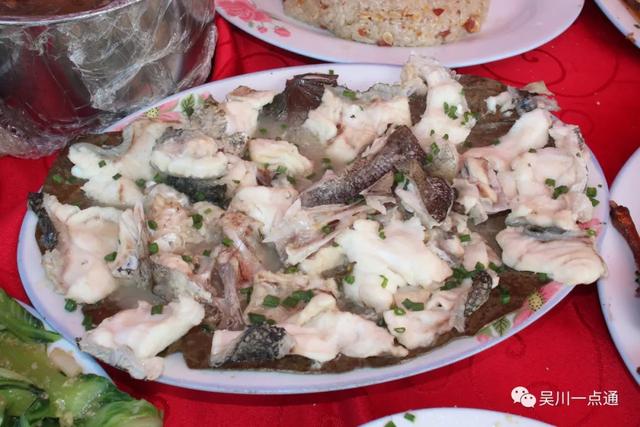 吴川有花胶吗 2026年吴川市花 吴川有花胶吗 2026年吴川市花