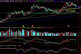 比亚迪、隆基股份、三安光电和恒瑞医药图片