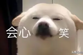 职场人必备的基本办公软件，你掌握了几个？图片