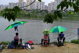 钓鱼佬日常：辞工作、已离婚、娃送人，接下来的剧情让人笑出声图片