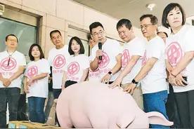 反毒猪再上街头！民间团体酝酿跨年夜宿凯道，元旦升旗时抗议图片