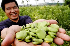高嘌呤食物清单：4类食物嘌呤含量超过150，若常吃，痛风难好图片