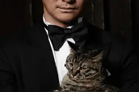 吴京抱猫拍杂志，猫表情写满了老实...图片