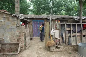 1986年，日本富豪来到中国寻亲：我是40年前被带到日本的“俘虏”图片