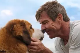 狗子是如何分辨家人中的主人的？它独特的行为表现会告诉我们图片