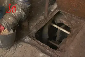 一小区楼道里布满蚊子，冬夏都有，蚊子成灾到底是何原因？图片