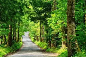 老洛阳话集8—嘎低马和日马欻图片