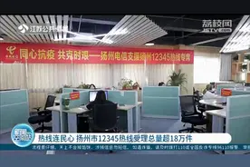 热线连民心 扬州市12345热线受理总量超18万件图片
