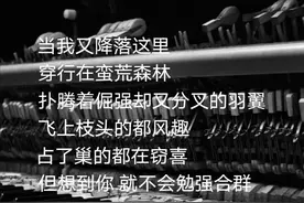 许嵩的“诗词歌赋”，是否惊艳到了你？图片