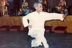 寻仙访道路上，南怀瑾见过哪些奇人？有的轻功了得，有的挥手成剑图片