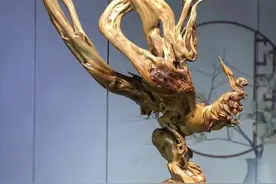 七分木天然，三分入神雕！这件崖柏木雕《凤舞九天》堪称无双图片