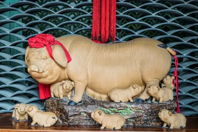 鳄鱼肉可以煲花胶吗 2026年鳄鱼肉可以煲花胶吗视频