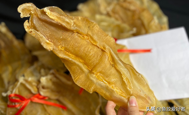 花胶小扎胶好吗 2026年花胶小扎胶好吗有毒吗