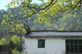 最顶级的格局：释然、淡然、坦然图片