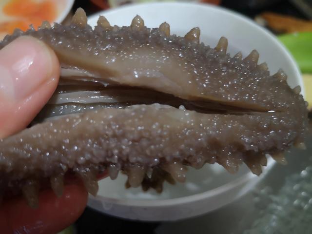 花胶海参炖鸡图片 2026年花胶海参炖鸡图片高清