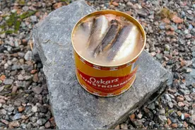 瑞典的鲱鱼罐头有多臭？比腌海雀更刺激，臭豆腐甘拜下风图片