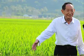 “我不要吃荷兰豆，我就要吃豌豆”，袁隆平院士如此会撒娇图片