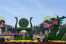 10万余盆菊花将亮相荆州园博园，这6类人可免费观看图片