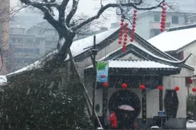 俗语 “屋后大树莫参天，墙外莫栽电线杆 ”，啥意思 ？图片