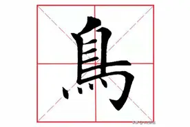 每日一字45：鸟图片