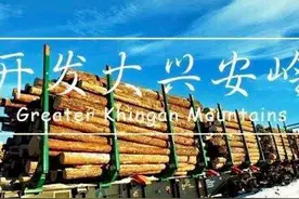 铁道兵第三师与大兴安岭林区（上） 作者：杨景林图片