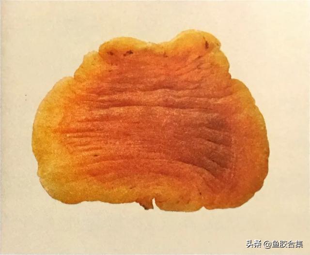 鳘鱼胶有哪些品种 2026年鳘鱼胶分几种 鳘鱼胶有哪些品种 2026年鳘鱼胶分几种