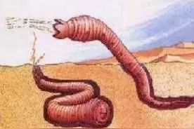 蒙古死亡蠕虫之谜：戈壁沙漠上耸人听闻的传说图片