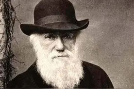 进化论有3个“诡异之处”，达尔文也无法解释，人类起源再被质疑图片