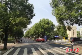 汉口江滩可以开车入园了图片